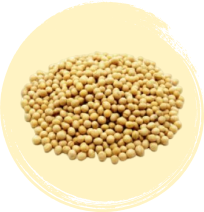 Derivados de Soja