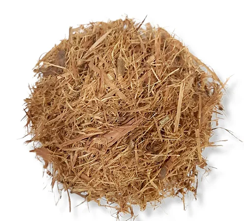 cha-de-unha-de-gato-rasurada-tb7r0a3ivc