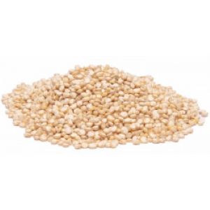quinoa-branca-grao-bela-cerealista