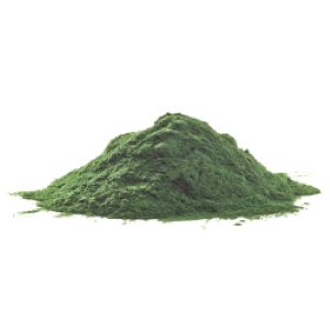 spirulina-min